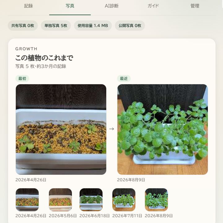 AnyFoliaの写真画面で、アロマティカスの2026年4月26日と8月9日の写真を見比べている様子